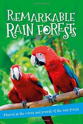 IT'S ALL ABOUT... RIOTOUS RAIN FORESTS: EVERYTHING YOU By Editors Of Kingfisher