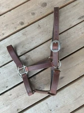 Horse Tack - MARTIN SADDLERY PREMIUM LEATHER HALTER