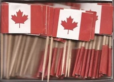 Box of 100 Canadian Toothpick Flags, 100 Small Mini Canada Flag Cupcake Picks