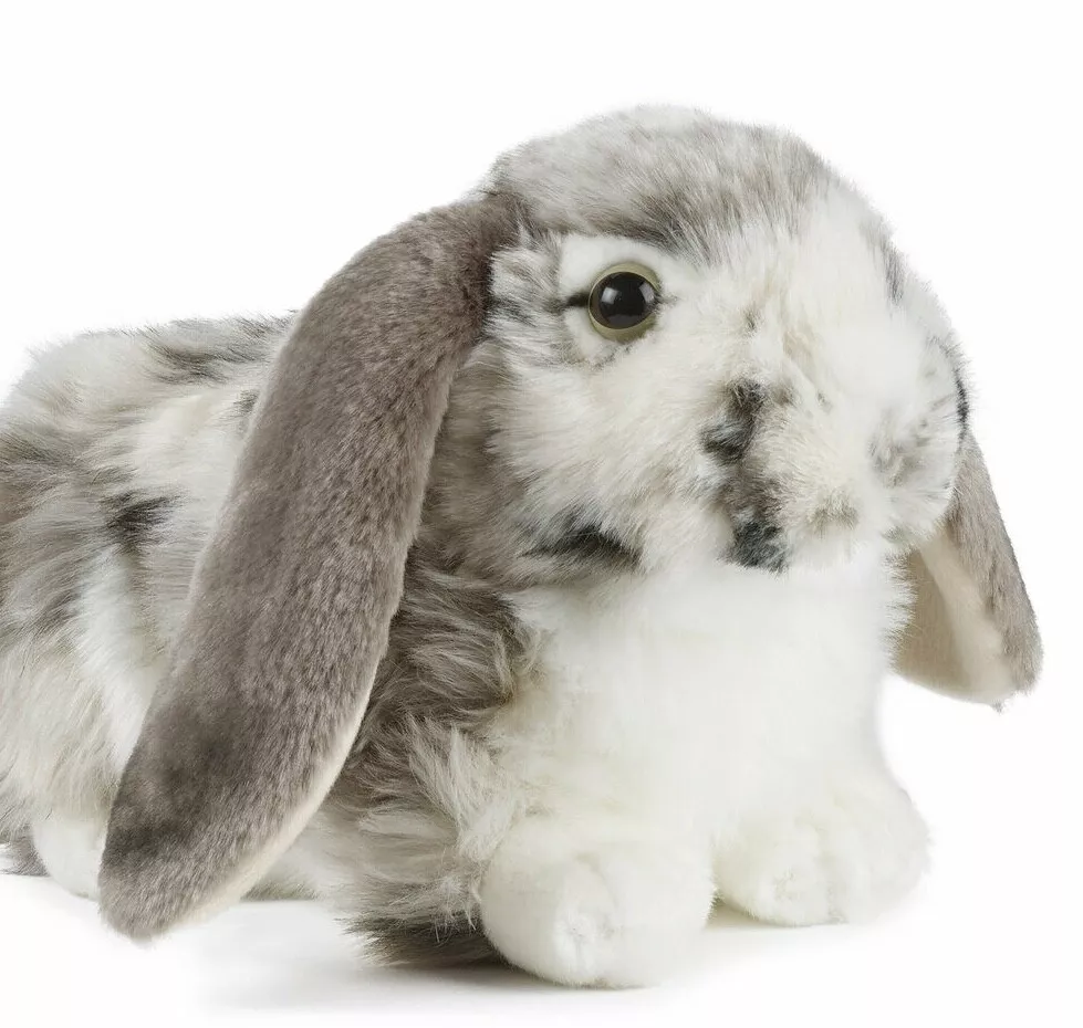 Floppy eared on sale bunny stuffed animal