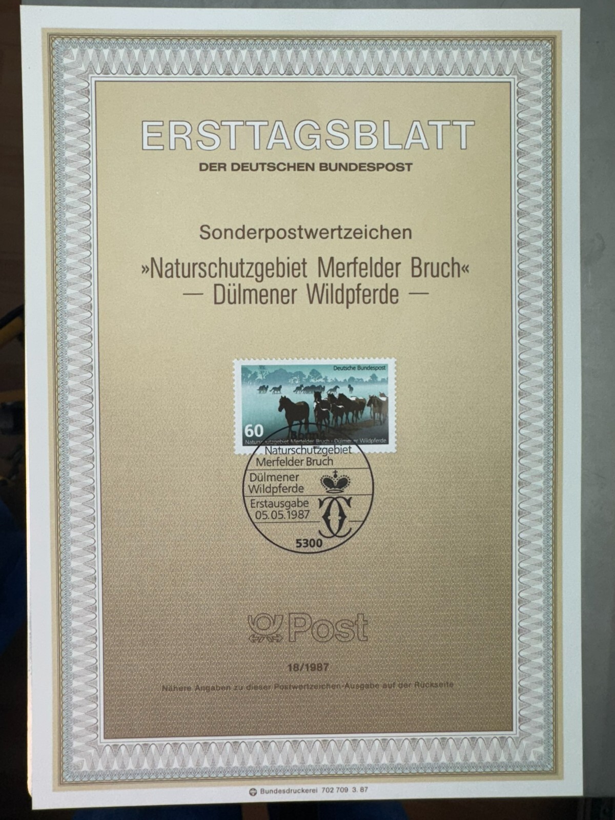 Bild 139 von 251