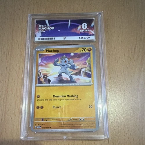 Ace Grading 8 2023 Scarlet & Violet 151 Pokémon TCG Machop 066/165 English