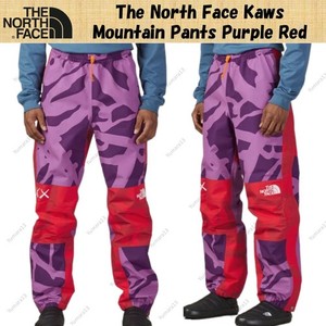 North Face Kaws Pants | eBay