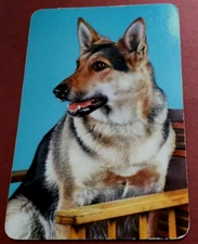 1 Single Genuine Vintage Swap Playing Card Dogs German Shepherd On Chair