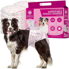 American Kennel Club Female Dog Diapers Mediu...