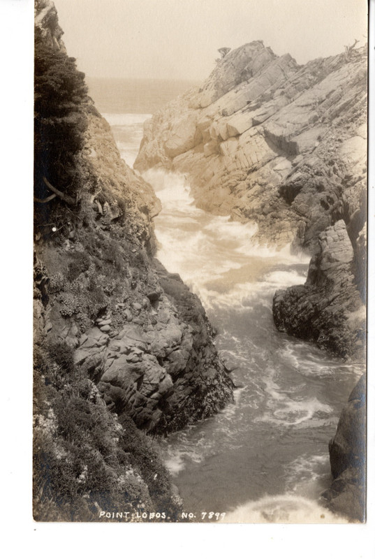 Landscape View-Point Lobos-Highway 1-California-Vintage RPPC Real Photo Postcard