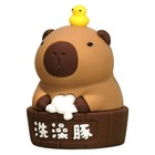 Foto 10 di 24