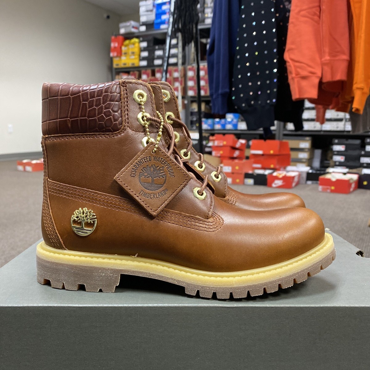 TIMBERLAND WOMENS SZ6.5 Premium 6 IN Boot Waterproof MDBRN FULL