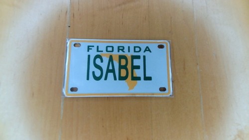 Mini placa de metal Florida de 2"" x 4"" con tu nombre para bicicleta o bicicleta - Imagen 168 de 248