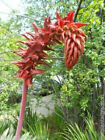 Bild 3 von 7