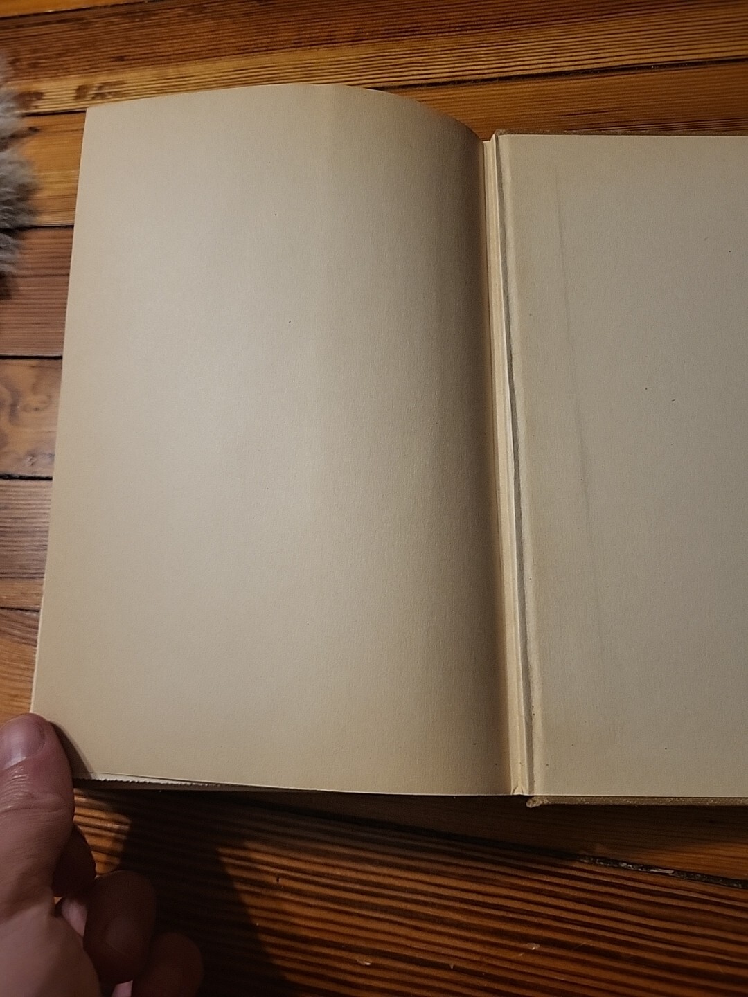 Picture 20 of 23