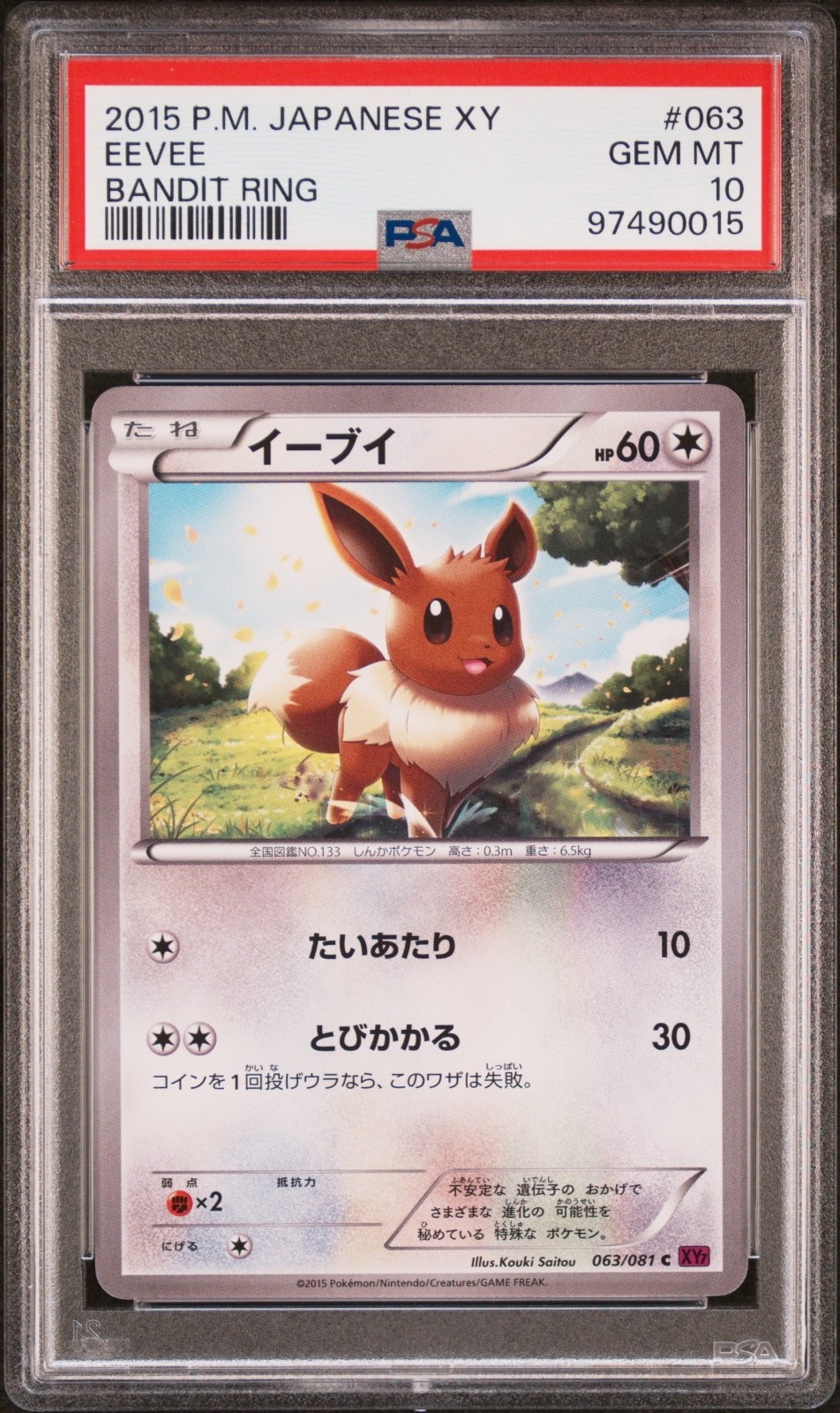 The Pokémon Company Eevee 063/081 Xy7 Bandit Ring 1st Ed PSA 10 JP 60 HP