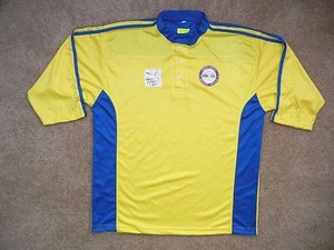 blue and yellow cricket jersey