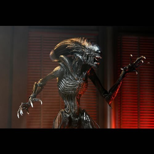 NECA Scorched Xenomorph (未開封品:外箱ダメージ有り) NECA Romulus Ultimate Scorched Alien Xenomorph (Pre order