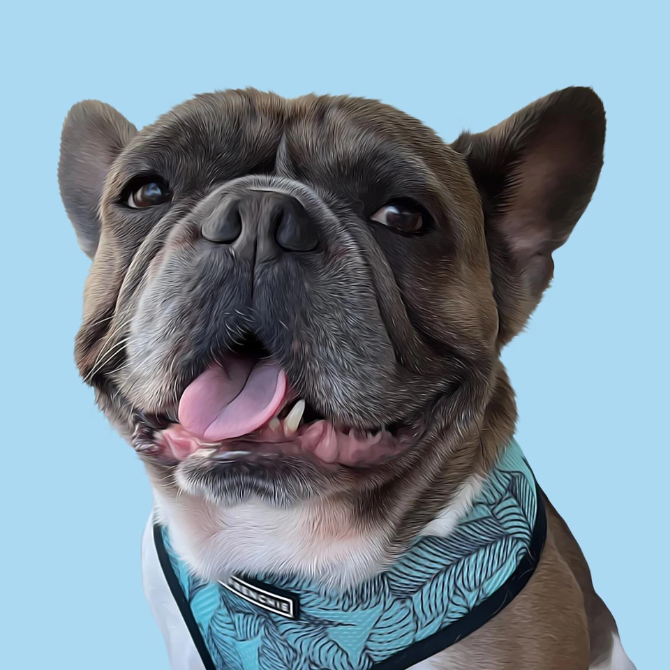 Custom Personalized Digital Pet Portrait / Dog, Cat, Animal Lover Gifts - Image 3 of 4