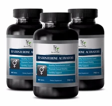 Testosterone booster l-arginine - TESTOSTERONE ACTIVATOR 3B - tongkat root extra