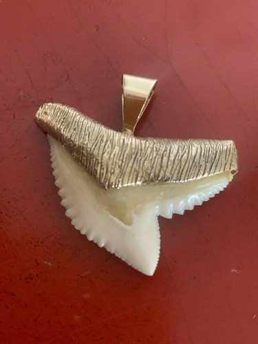 14K Yellow Gold Shark Tooth Pendant 6.8 