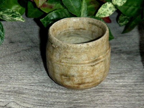 Antiguo juego de 5 tazas de sake Kiseito Haiyu Guinomi de cerámica japonesa d... - Imagen 8 de 10