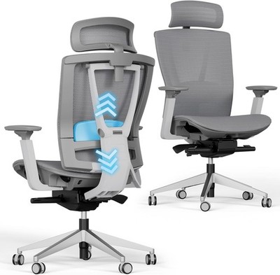 Autonomous ErgoChair Pro Grey Mesh Office Chair Adjustable Lumbar Headrest