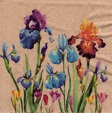 (2) Two Paper Lunch Napkins for Decoupage/Mixed Media - Iris on recycled paper