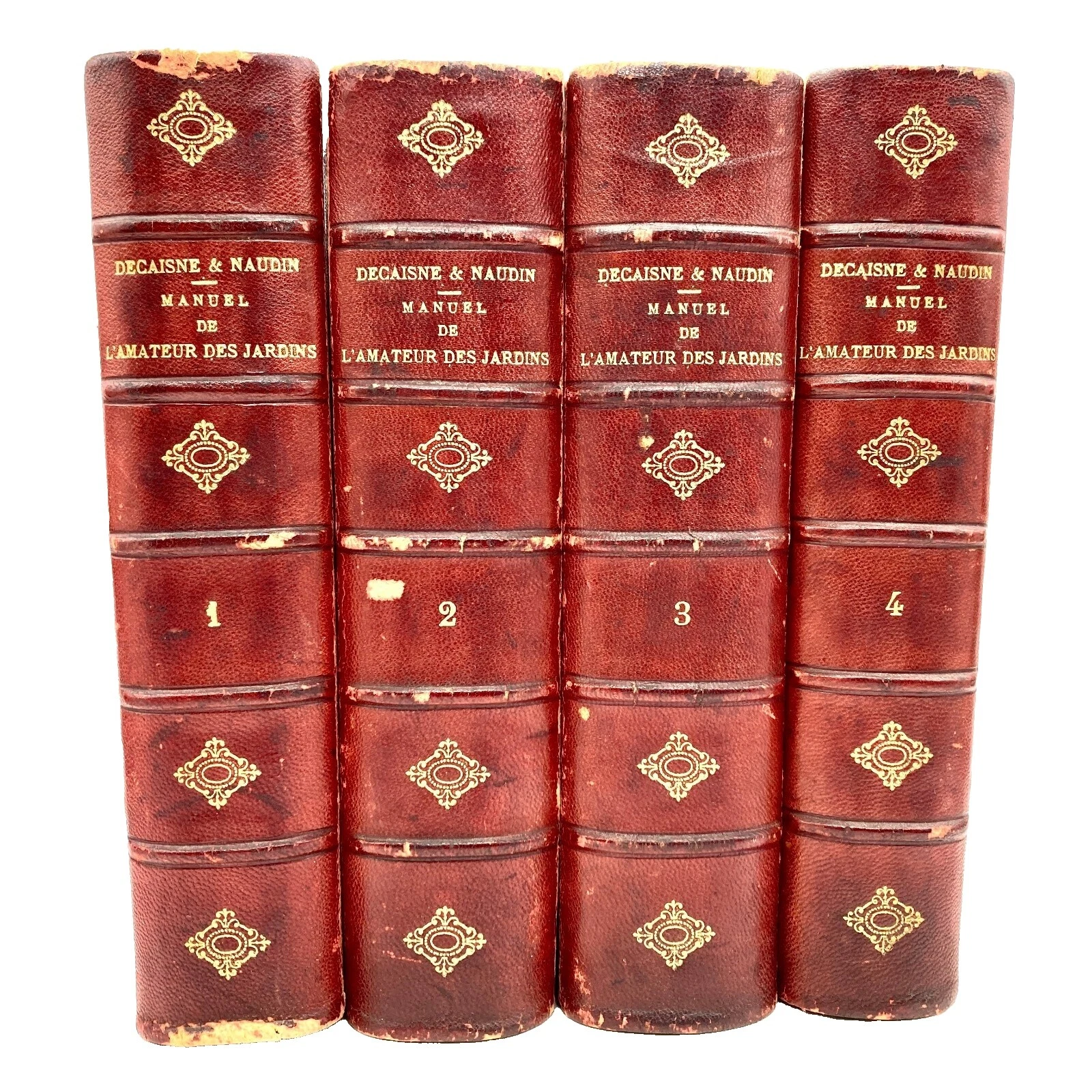 Ilustrado Home & Garden Cuero libros antiguos y de colección