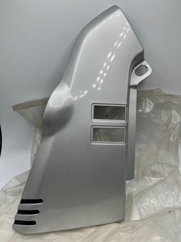 NOS- OEM Suzuki 82-83 GS750 1000 1100 Right Side Cover Silver 47101-49820