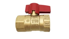 THEWORKS® Brass Threaded Gas Ball Valve, 1" FIP x FIP