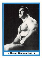 BRUNO SAMMARTINO 1991 IMAGINE WRESTLING LEGENDS #60