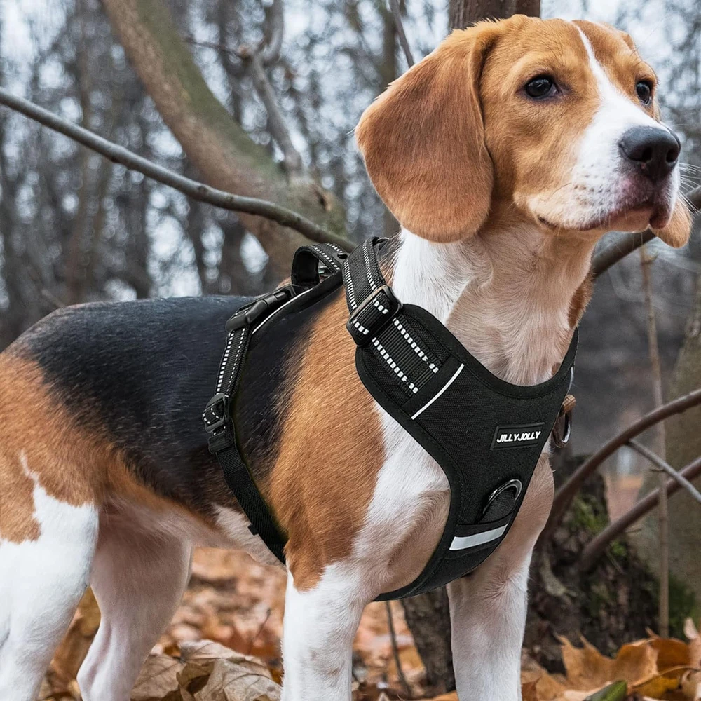 Dog Harness for Large Dogs No Pull, 90° Rotatable Reflective Dog Harness with Fo