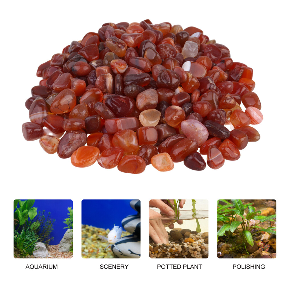 500G Kiesel Aquarium Kies Hochglanz Stein für Teich & Aquarium eBay