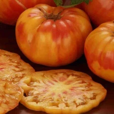 Tomato BIG RAINBOW Large Slicing Indeterminate Heirloom Non-GMO 50 Seeds