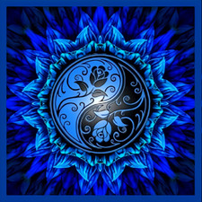 Ying Yang Blue Roses Beautiful Flower MAGNET