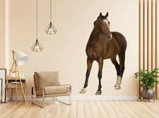 3D Andalusian Horse 484NA Animal Wallpaper Mural Poster Wall Stickers Decal Zoe