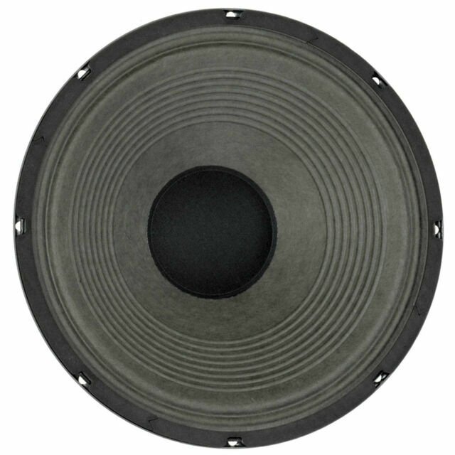 12 inch 50 watt speaker