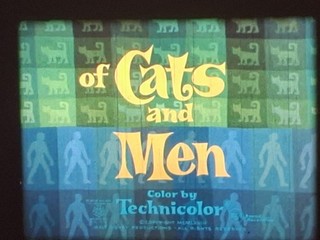 OF CATS AND MEN 1972 DISNEY 16MM COLOUR SOUND 400FT CINE FILM