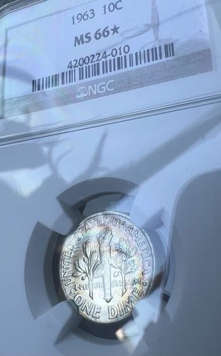 🌟1963 Silver Roosevelt Dime NGC MS 66 Star Rainbow Tone CHEAPEST ON EBAY! 🌟