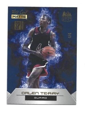/4 SP 2022 Wild Card Matte Exclusive Rising Heat Basketball RHN-3 Dalen Terry RC