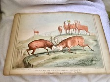 1838John Doyle political cartoon &ldquo; None But  the Brave Deserve the Fair&rdquo;