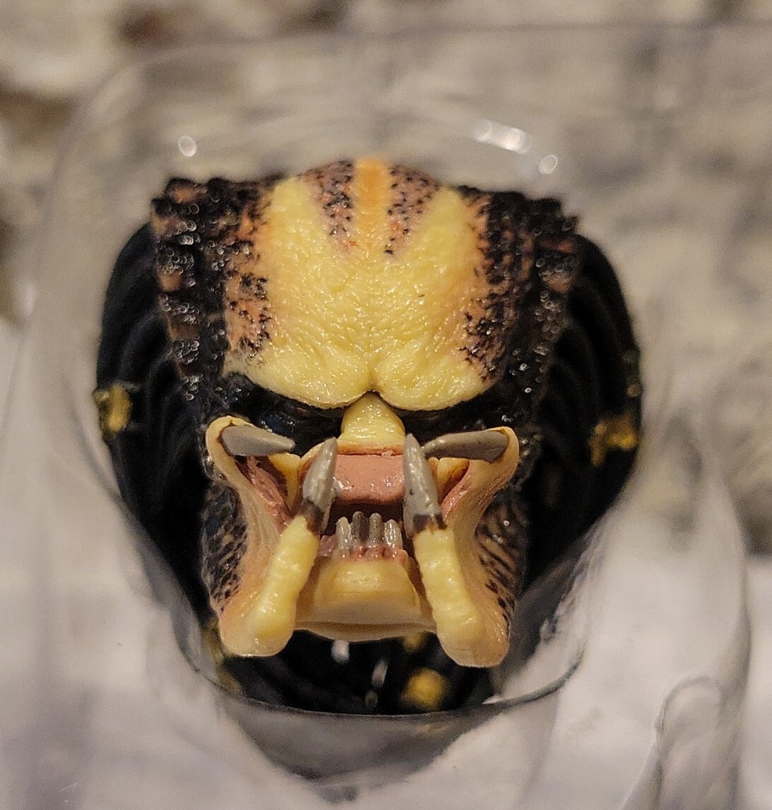 NECA Predator Jungle Hunter No Mask Closed Mouth Alien HEAD