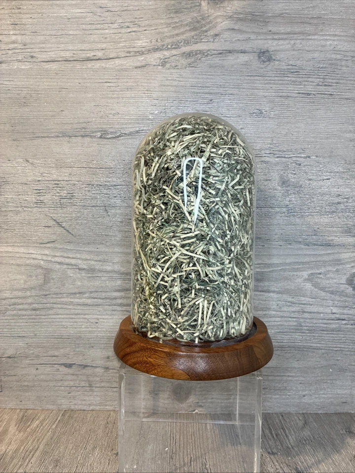 RARE Vintage MILLIONAIRE'S MONEY DOME $1000s in Real Shredded Currency Good Size - Image 4 of 4