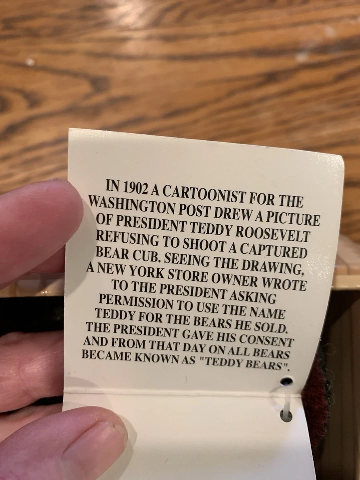 100 Aniversario (1902-2002) del Oso de Peluche Edición Limitada Theodore Roosevelt Foto 3 de 4