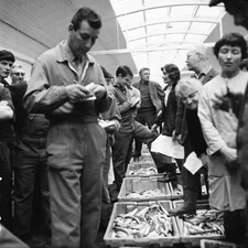 LA ROCHELLE c. 1960 - La Criée Marché Fish Charente - Negative 6x6 - NAQ 194