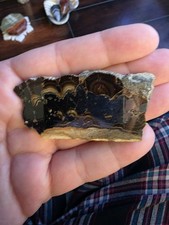 Schalenblende 2" Slab Slice Specimen Display Piece