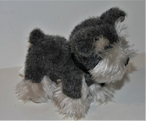 our generation schnauzer