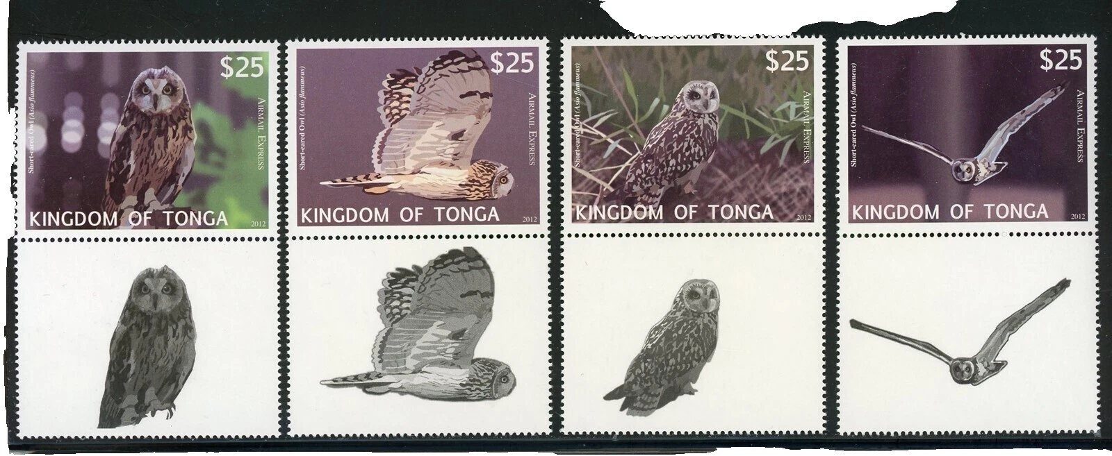 Special Delivery Tongan Stamps (1970-Now)