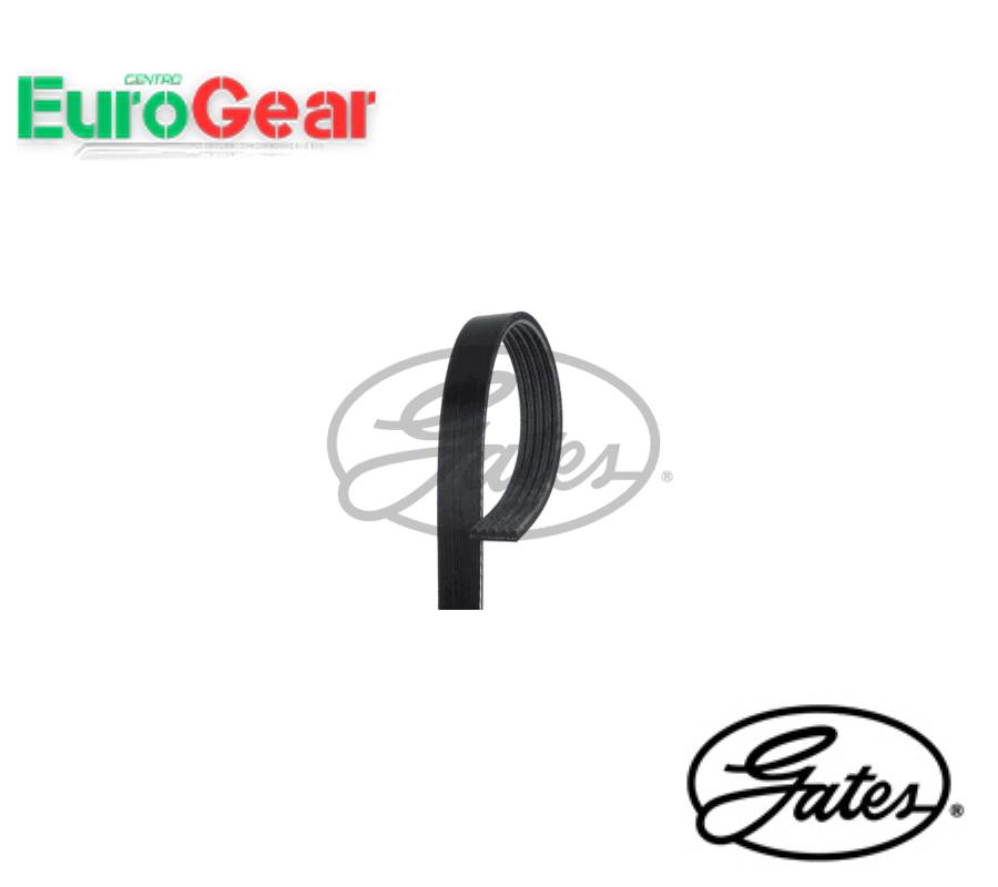 CINGHIA POLY-V GATES 5PK1063 FOR AUDI / FIAT / FORD USA / MAZDA