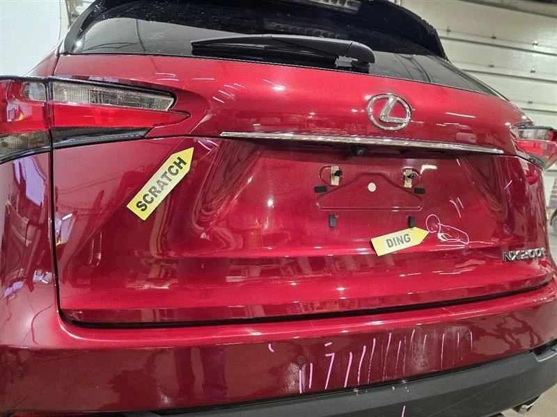 Trunk/Hatch/Tailgate Privacy Tint Glass Fits 15-17 LEXUS NX200T 602065 Foto 3 de 4