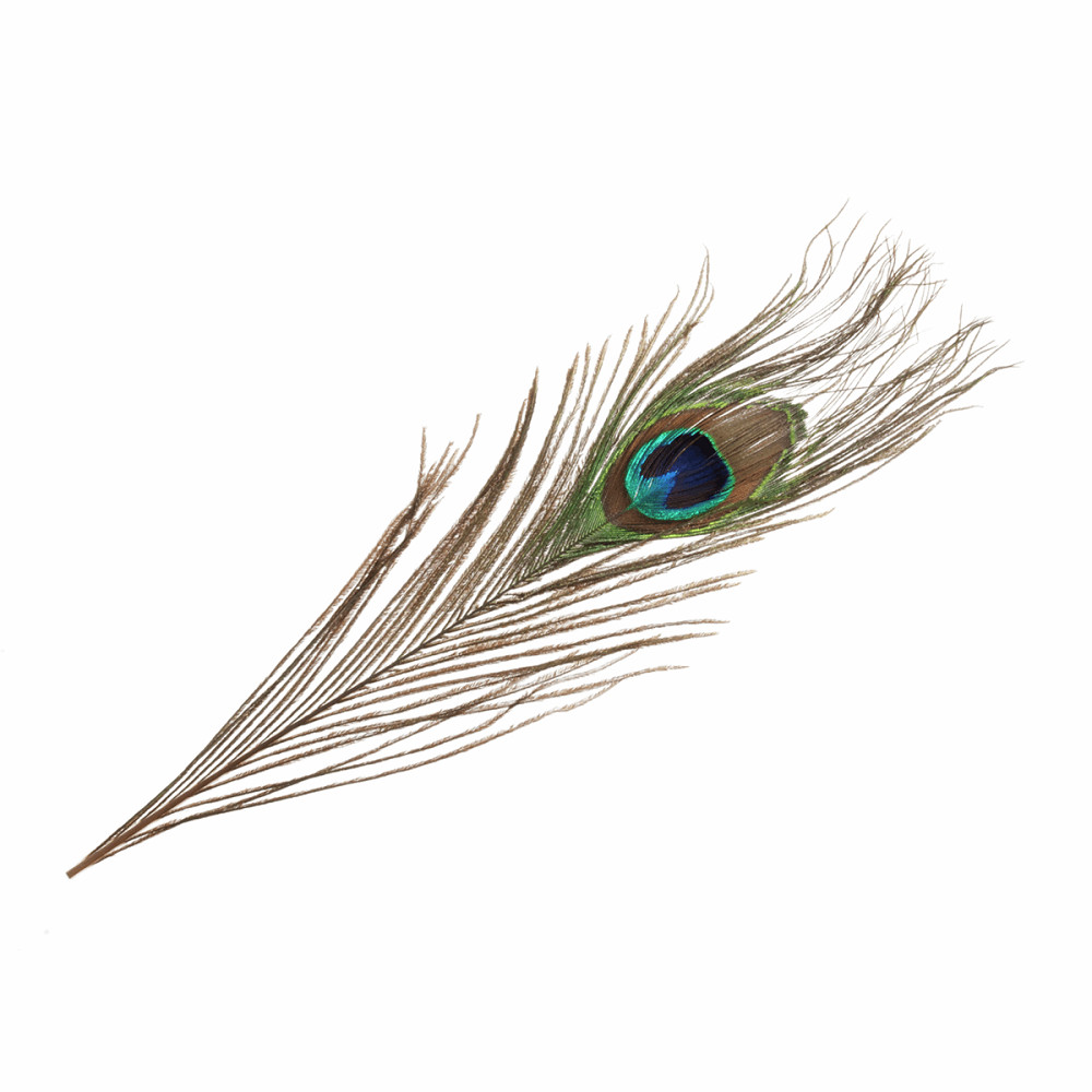 Peacock Feathers - 2 per Pack - Florist Wedding Craft Card Costume 