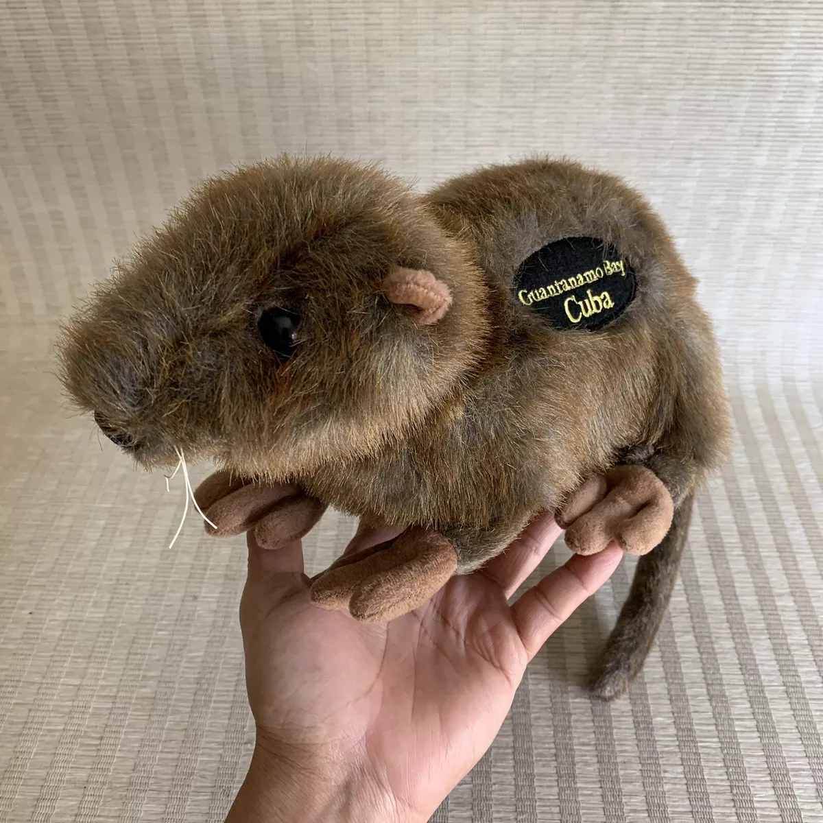 Show Some Care w/ Gym Rat Plush Toy –