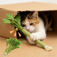 Cat Chew Toys Catnip Cat Teeth Cleaning Toy Interactive Self Playing Catnip Mola